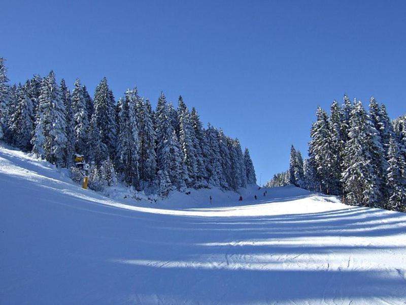 L&N Apartmani Kopaonik-Milmari Resort Экстерьер фото