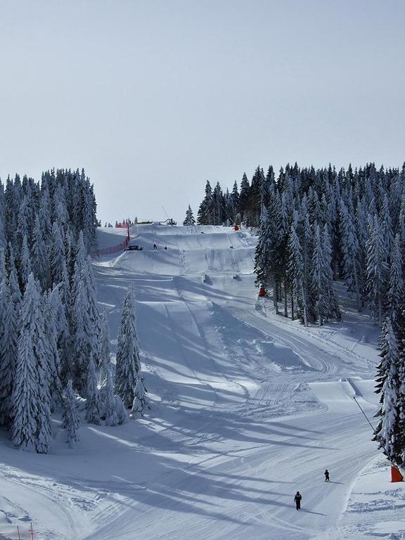 L&N Apartmani Kopaonik-Milmari Resort Экстерьер фото